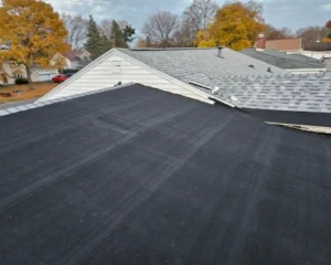 flat-black-roof