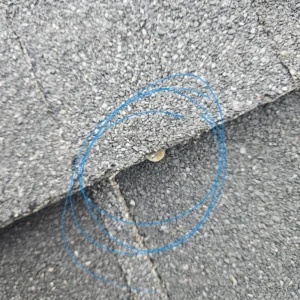 roofing-repair-problem (1)