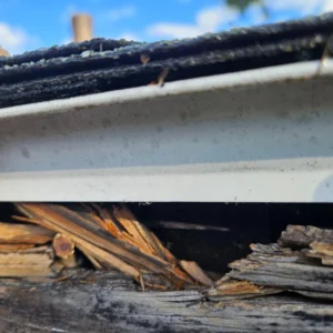 roofing-repair-problem (2)