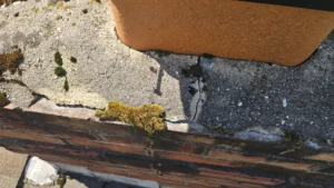 chimney-crown-before